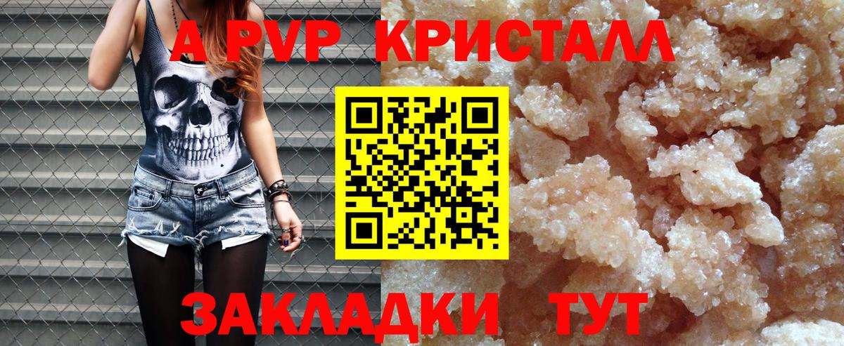 А ПВП СК Сальск