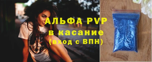 прущие грибы Киреевск