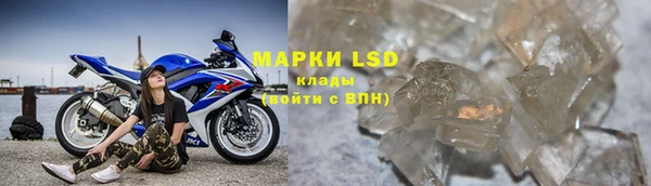 гидра Карпинск