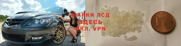 прущие грибы Киреевск