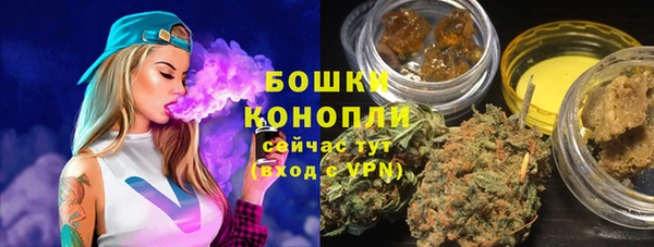 гидра Карпинск