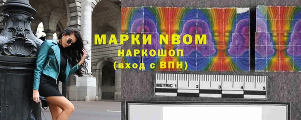 мдпв Щигры