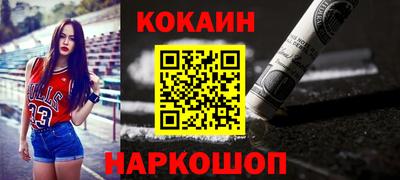 спайс Кингисепп