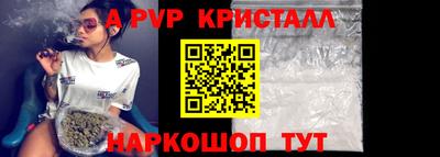 спайс Кингисепп