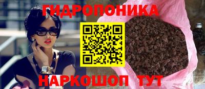 крисы Кимры