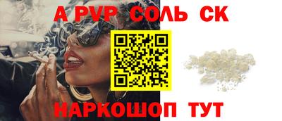 спайс Кингисепп
