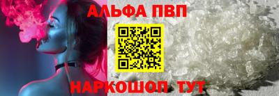 спайс Кингисепп