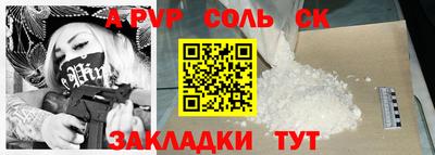 спайс Кингисепп