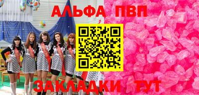 спайс Кингисепп